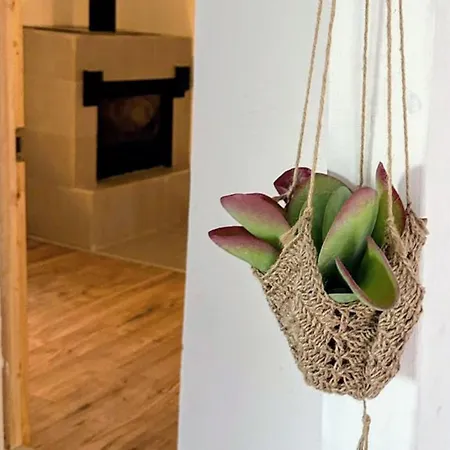 Apartment Aufgabe Der Vermietung